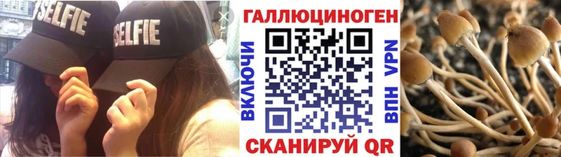 Псилоцибиновые грибы мицелий  blacksprut ссылка  Щёкино 