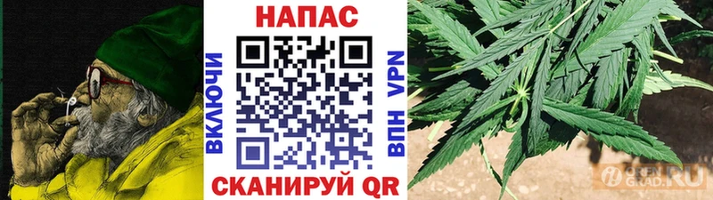 Бошки Шишки марихуана  Щёкино 
